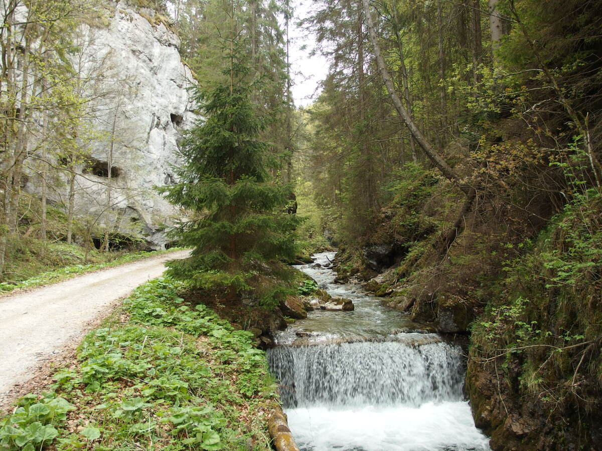 Kaskády potoka v Gaderskej doline