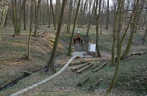 Hoštecká studnička, okolité lesy Smrdák