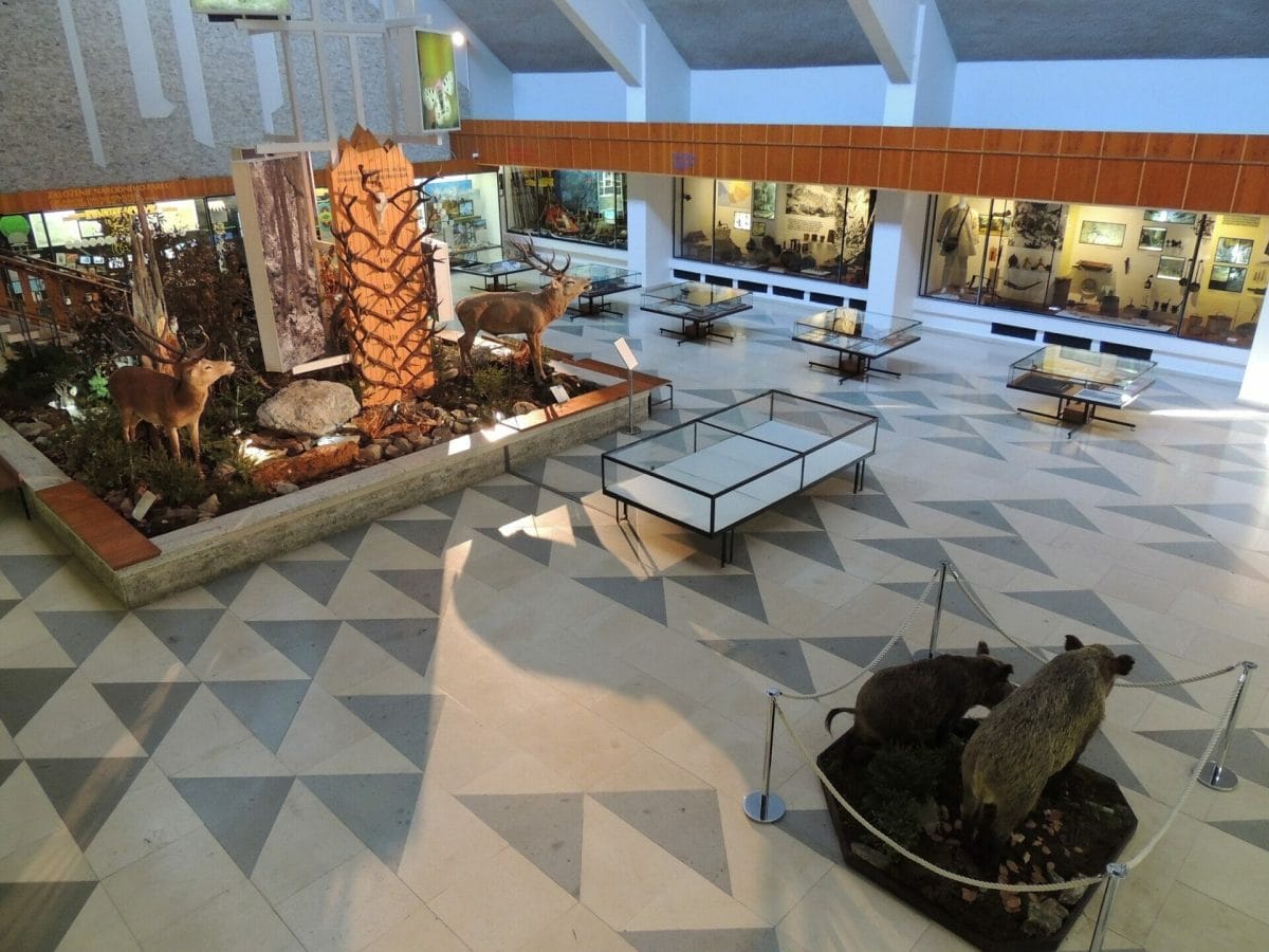 Otvorený priestor výstavnej časti múzea