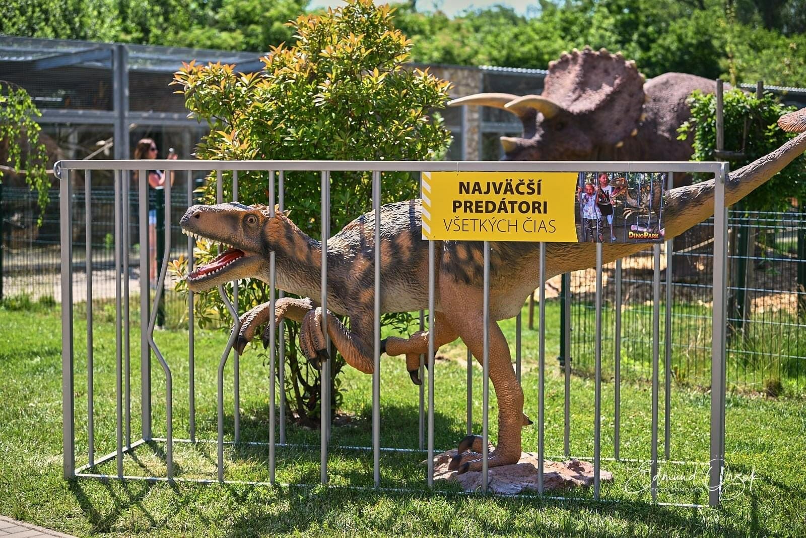 Dinosaury z Dinoparku nájdete rozmiestnené v celom parku